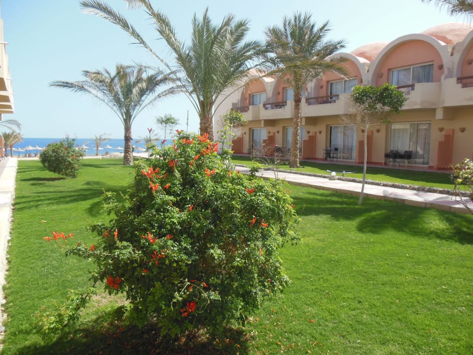 Zimmerausblick Three Corners Sea Beach Resort