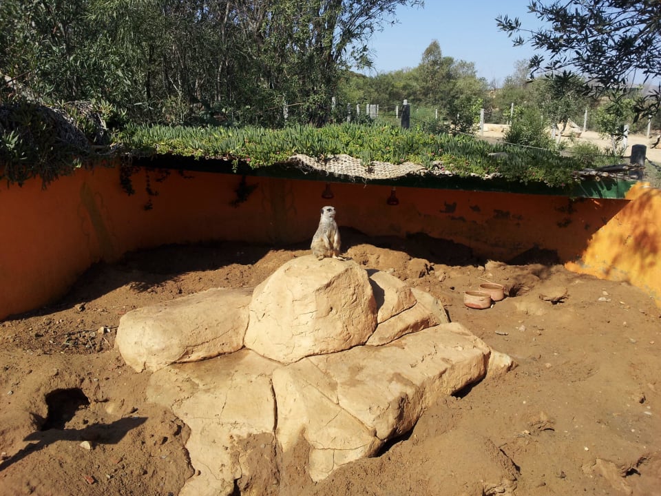 Tierpark Medina Solaria & Thalasso