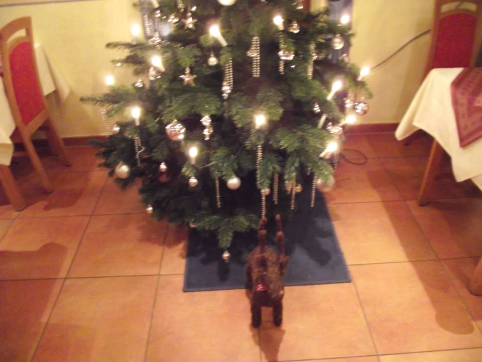 Weihnachtsbaum Landhotel Magdalenenhof
