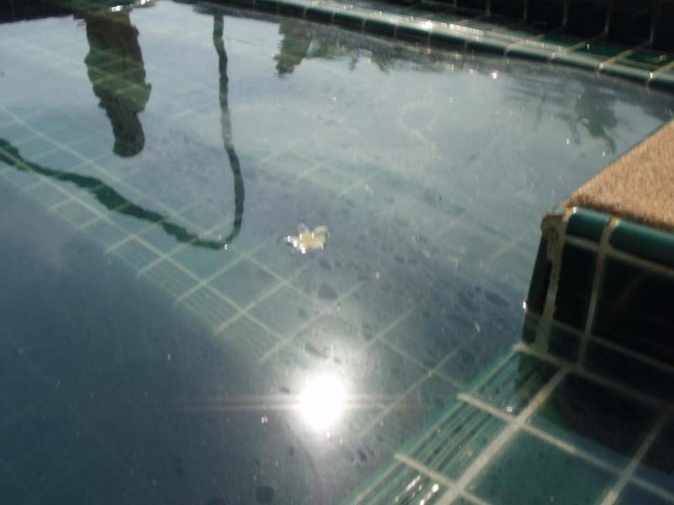 Brühe statt Wasser Miracle Island Resort