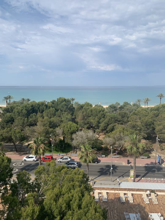 Ausblick Aparthotel Houm Plaza Son Rigo