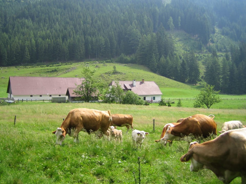 Außenansicht Grassleralm Hütte