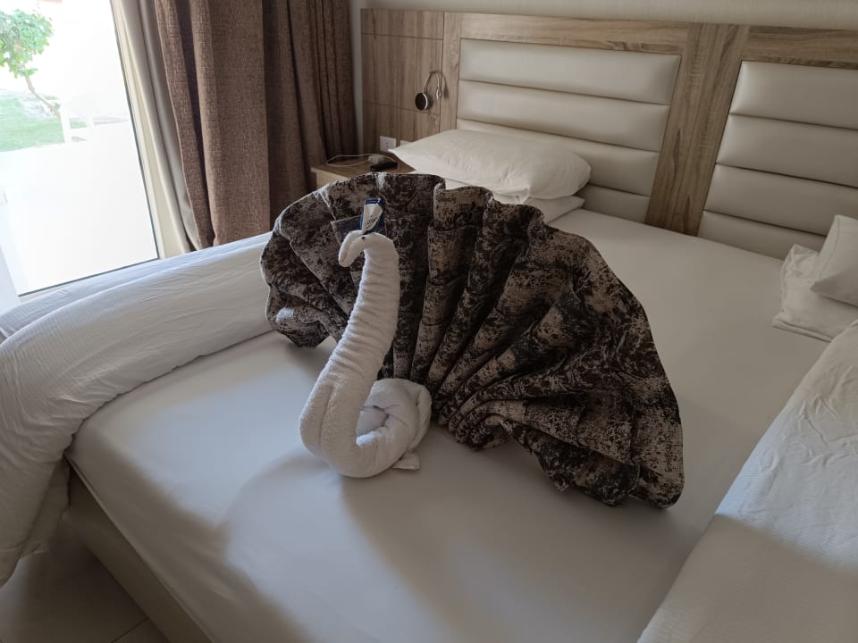 Zimmer Pickalbatros Sea World Resort - Marsa Alam