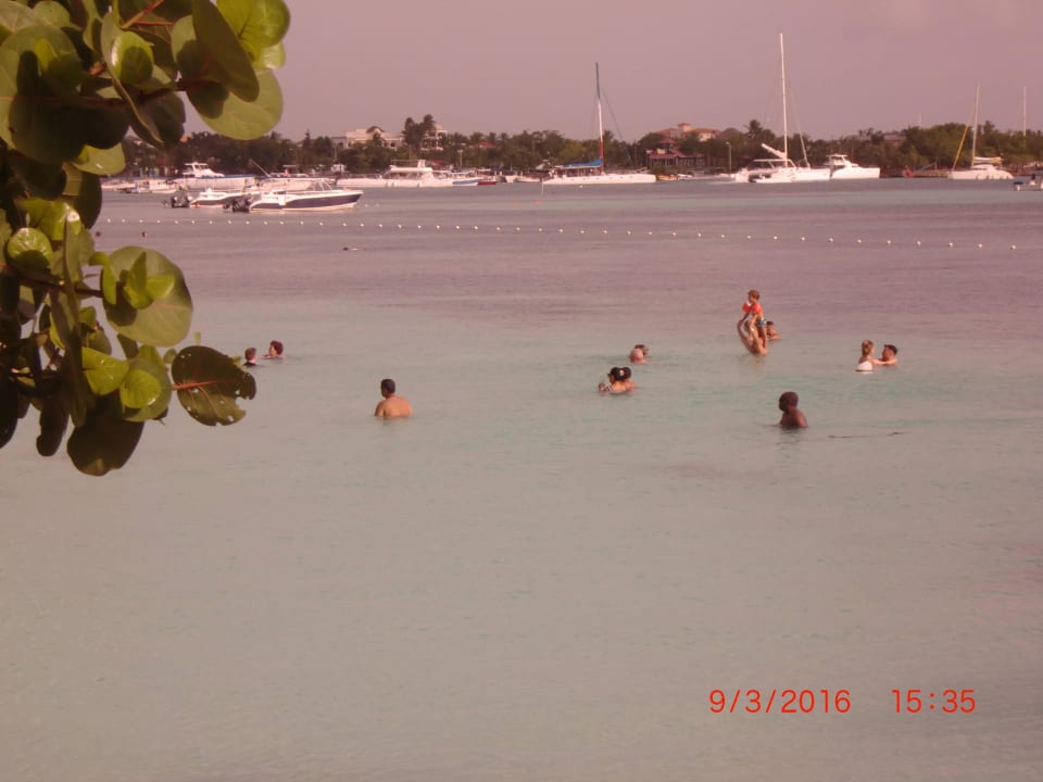 Kristallklares Wasser Dreams La Romana Resort & Spa
