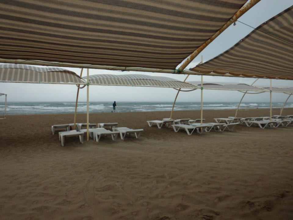 Toller Strand, sehr sauber! Seher Kumköy Star Resort & Spa