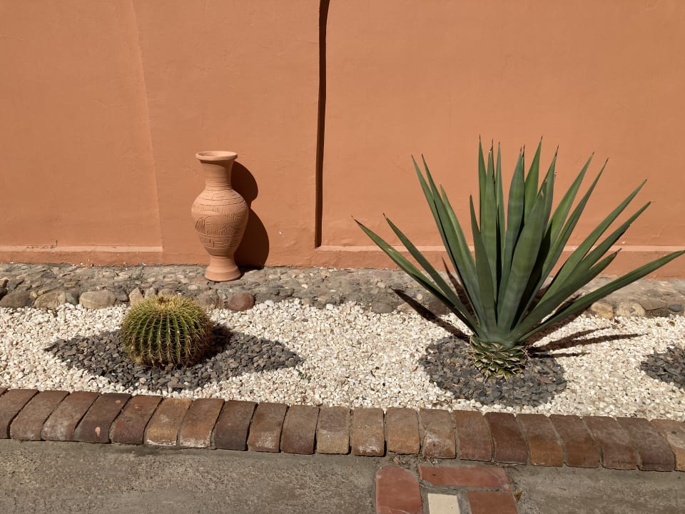 Gartenanlage Jaz Makadi Oasis Resort