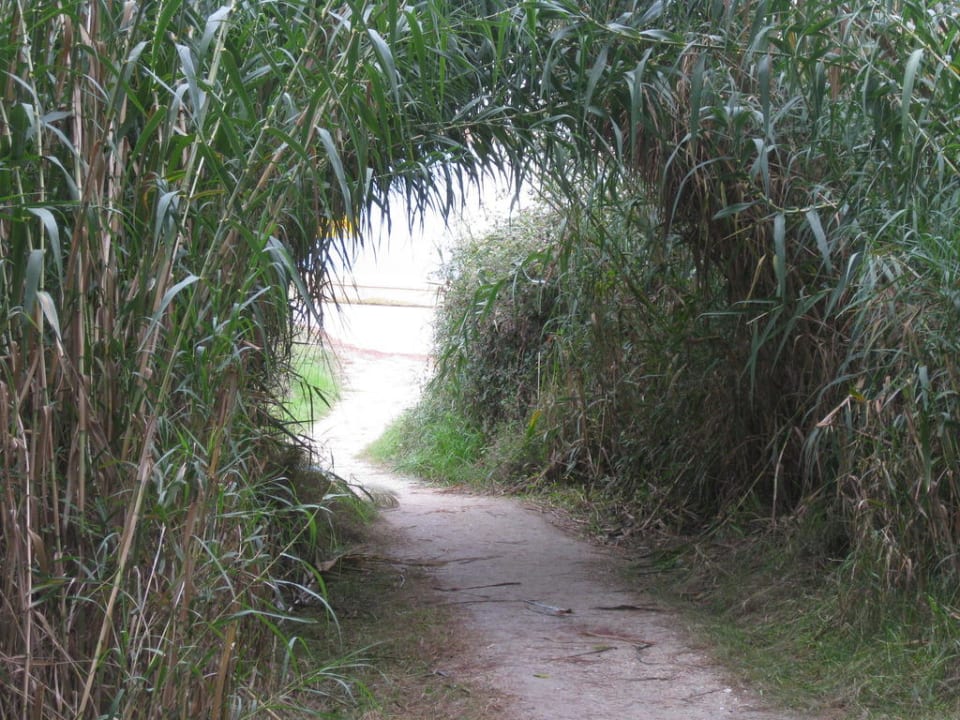 Durch den Wald zum Strand Hotel Chrousso Village