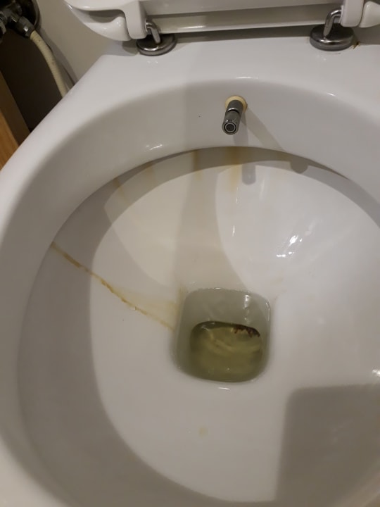 Zimmer AQI Pegasos World