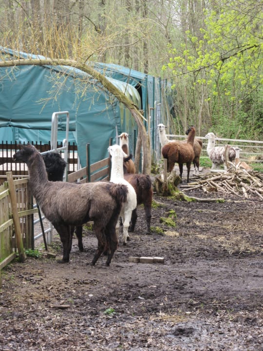 Sport & Freizeit Landschloss Ernestgrün