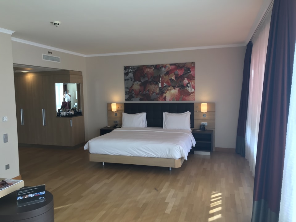 Zimmer Hilton Mainz