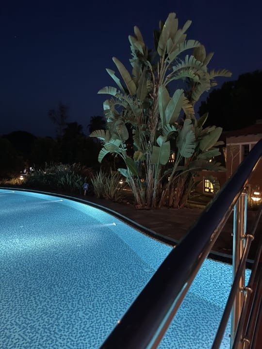Pool Megasaray Club Belek