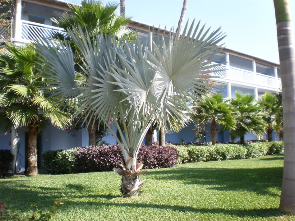 Caribbean Village Beaches Turks & Caicos