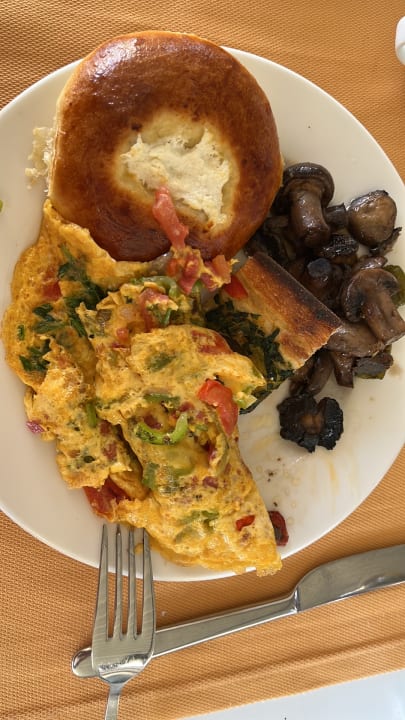 Gastro Seashell Vega