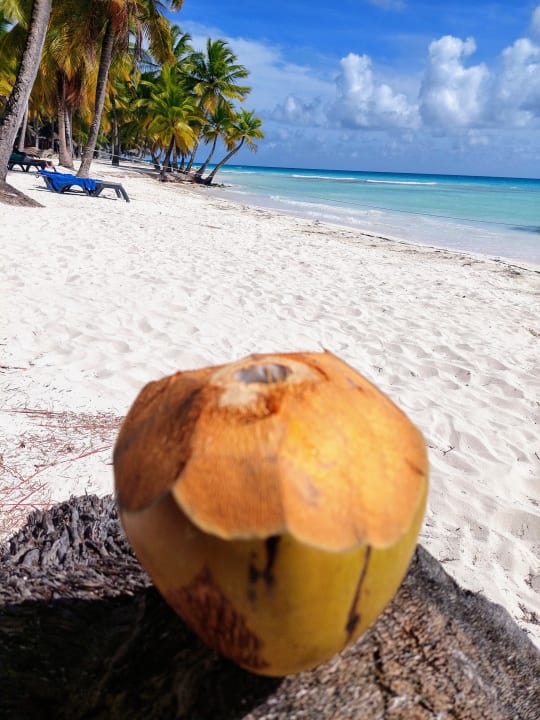 Strand Grand Palladium Punta Cana Resort & Spa