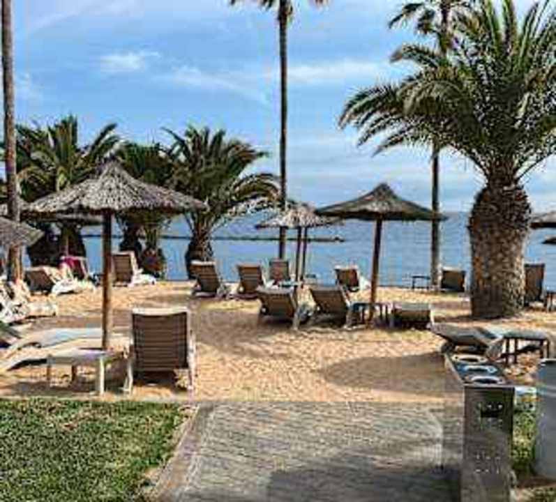 Gartenanlage Hotel Riu Palace Tenerife