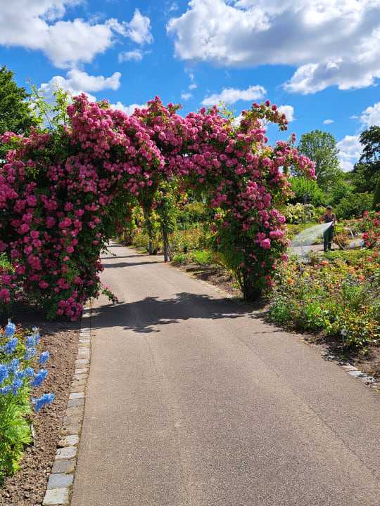 Gartenanlage Santé Royale Bad Langensalza