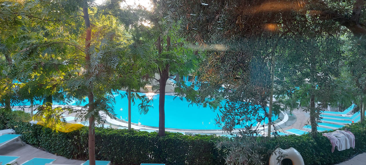 Pool Can Garden Beach