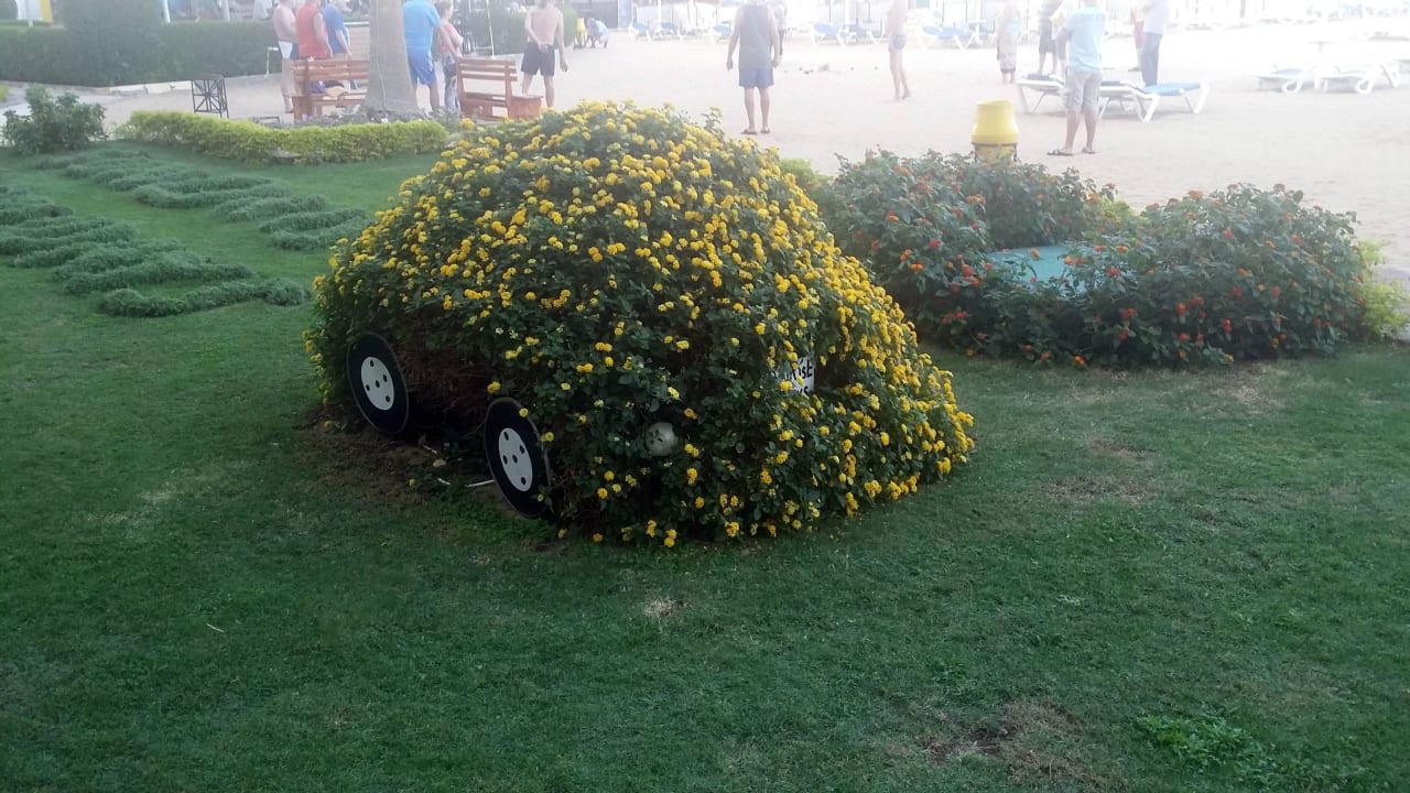 Garten SUNRISE Holidays Resort (Adults Only)