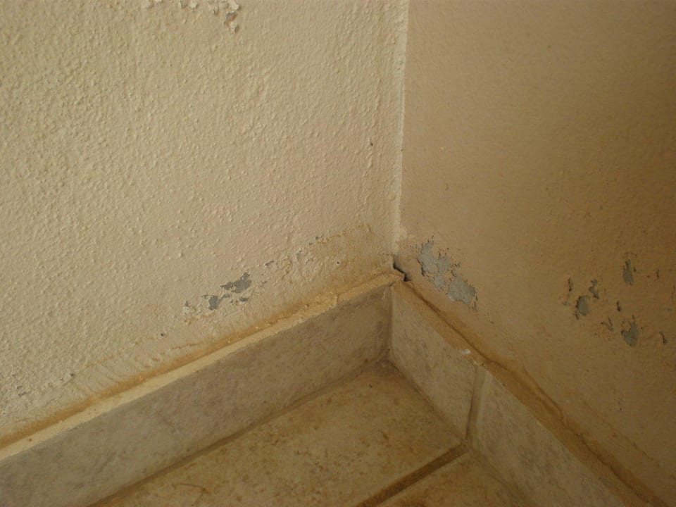 Schimmel in jeder Ecke Delfina Boutique Hotel