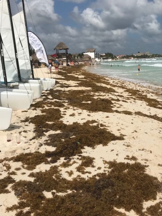 Strand JOIA Paraiso by Iberostar