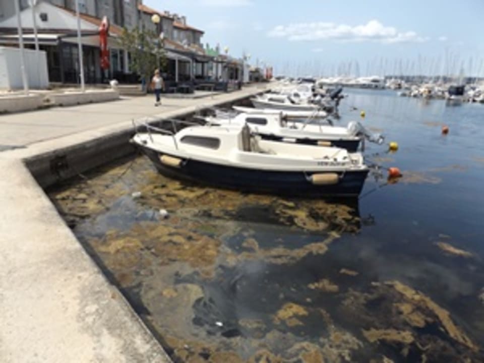 Außenansicht Hotel IN Biograd