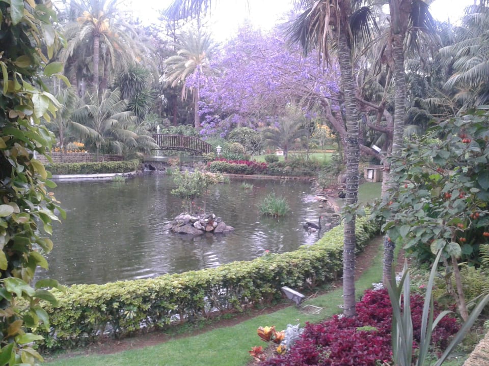 Garten Hotel Botanico And The Oriental Spa Garden Puerto De La Cruz • Holidaycheck Teneriffa 2348