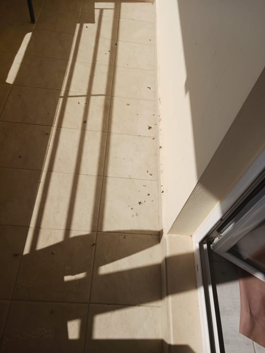 Zimmer Diogenis Blue Palace