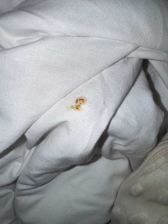 Zimmer Jaz Makadi Oasis Resort