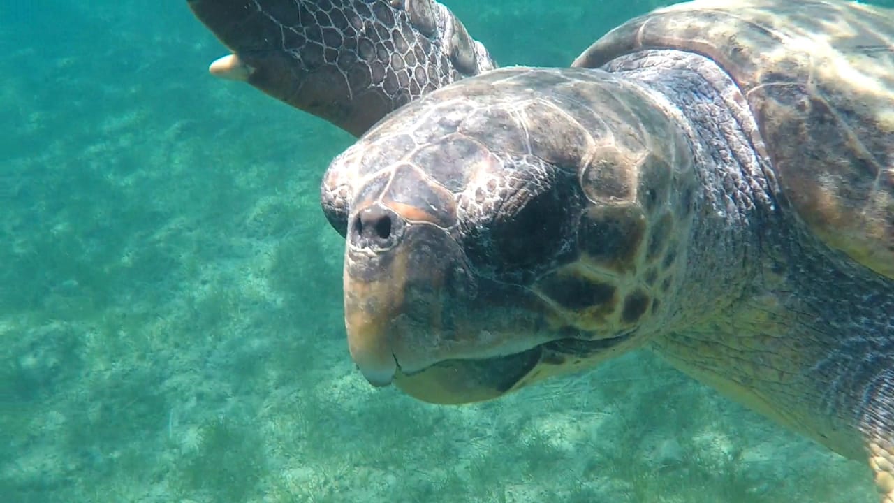 Sonstiges Porto Koukla Beach