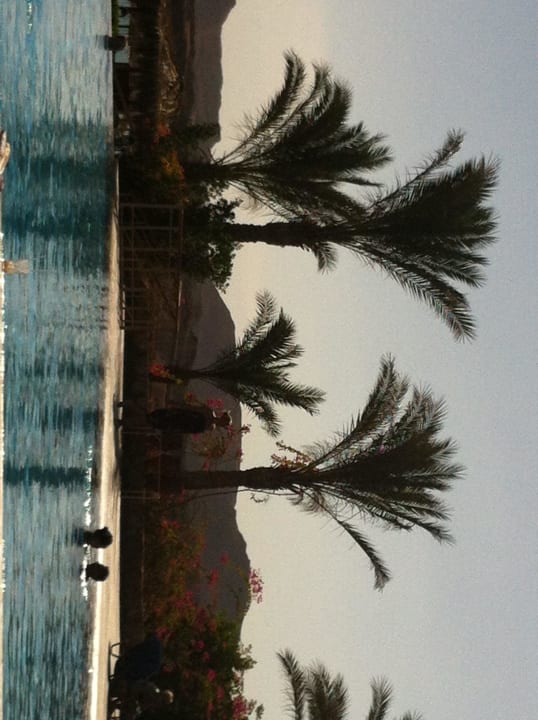 Unterer Pool TUI MAGIC LIFE Kalawy