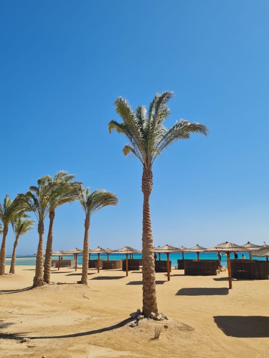 Strand Hotel Kempinski Soma Bay