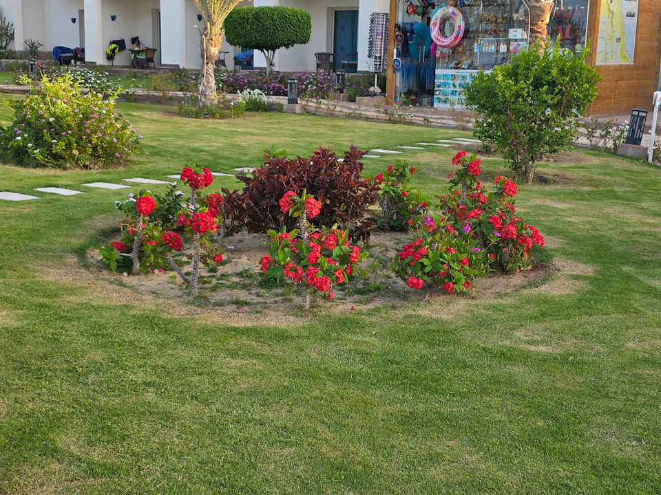 Außenansicht Coral Sun Beach