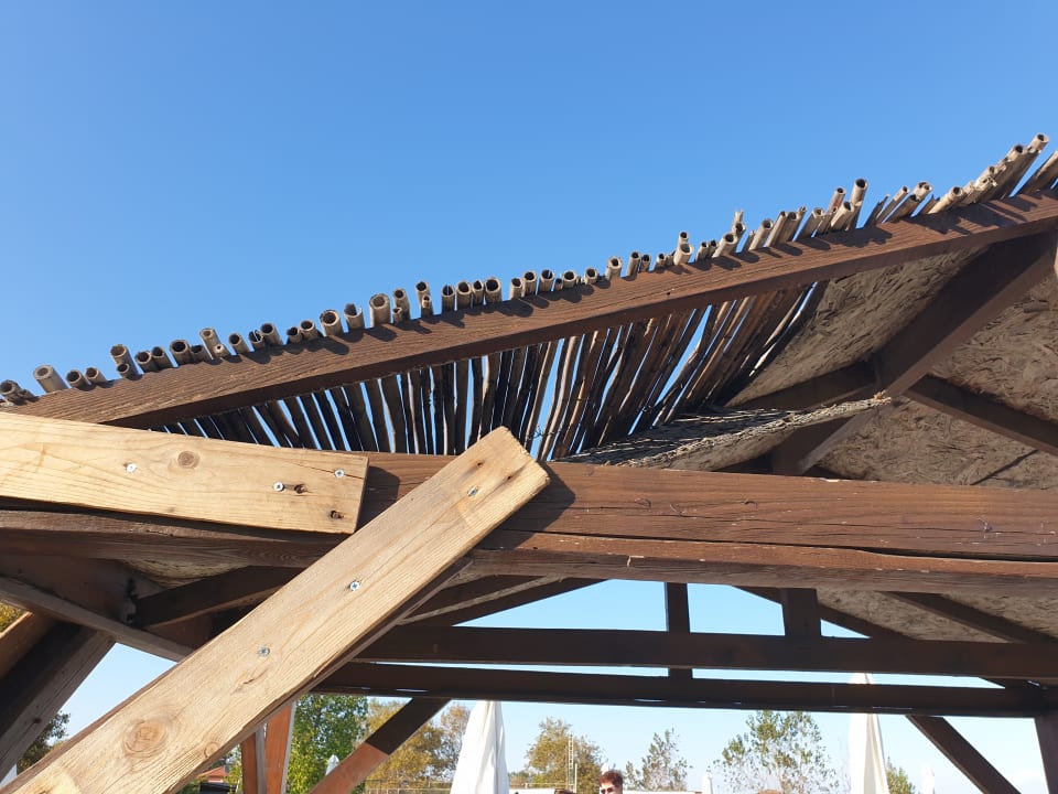 Pool Hotel Dion Palace Resort and Spa