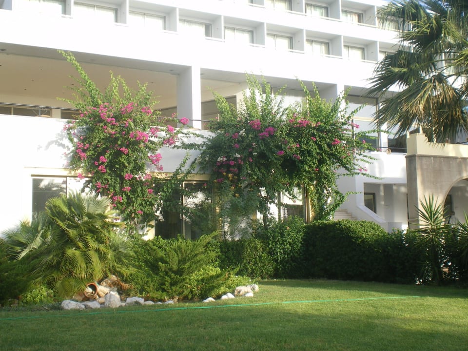 Blick aus den Garten Grecotel LUXME Dama Dama