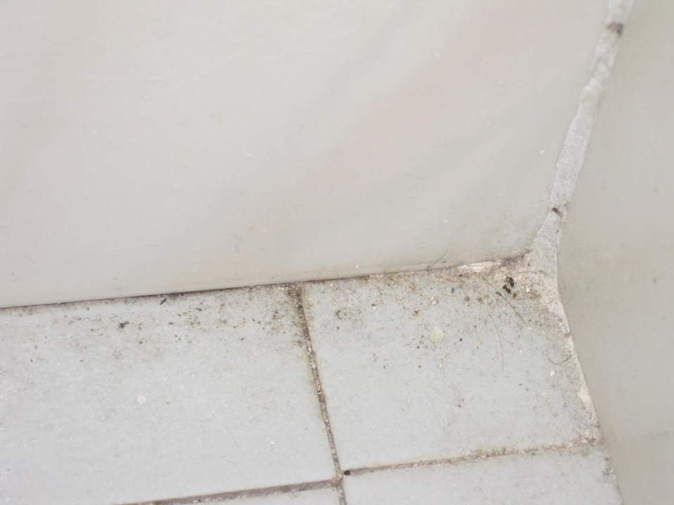 "Fliesen in Badezimmer" Hotel Cala Mandia Park (Manacor) • HolidayCheck