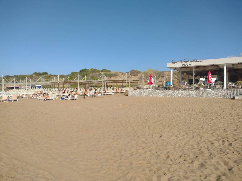 Strand Seashell Vega