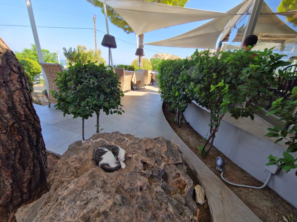 Sonstiges alltoura Club Hotel Porto Angeli Beach Resort