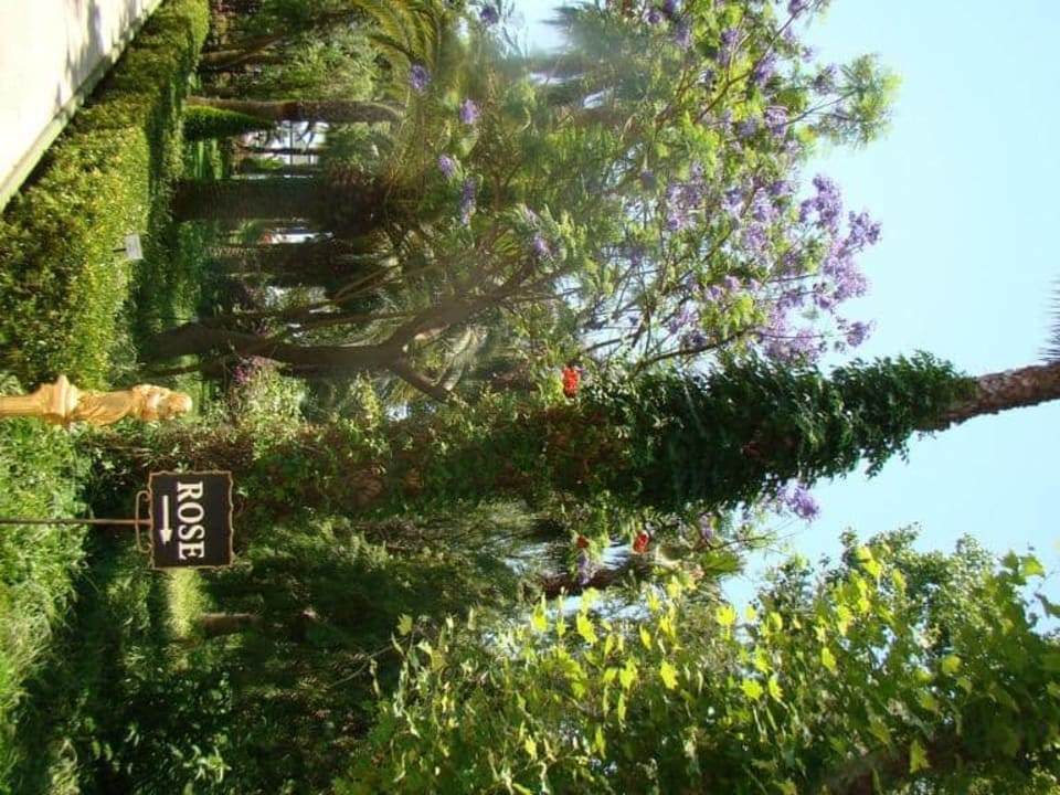 Сад Botanik Hotel & Resort