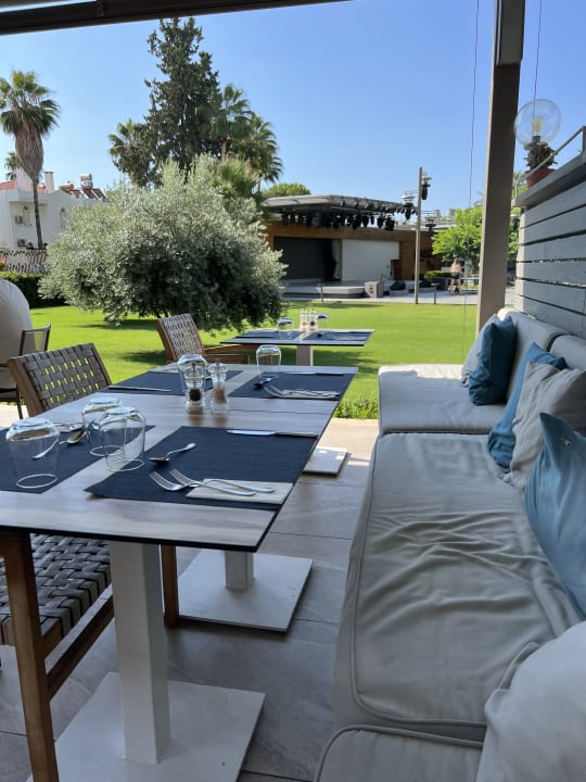 Gastro Acanthus Cennet Barut Collection