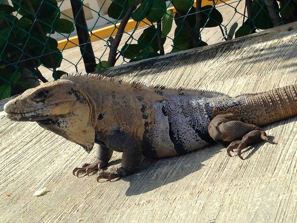 Freunde vorm Hoteleingang  Hilton Cancun Mar Caribe All-Inclusive Resort