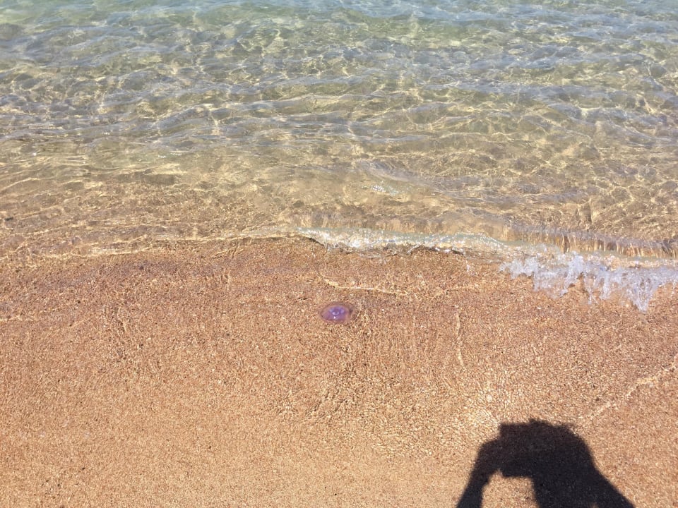 Hotel Titanic Beach Spa & Aqua Park Titanic Beach Spa & Aqua Park