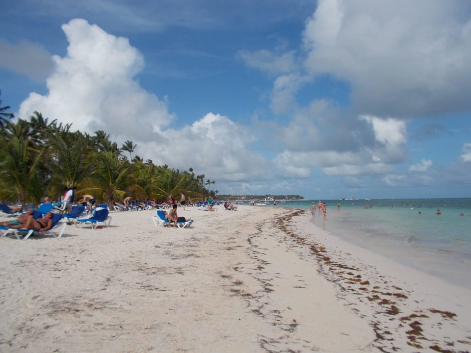 Wenig Seegras Villas Bavaro Resort & Spa