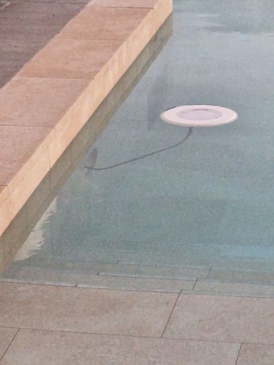 Pool Lopesan Costa Bávaro Resort, Spa & Casino