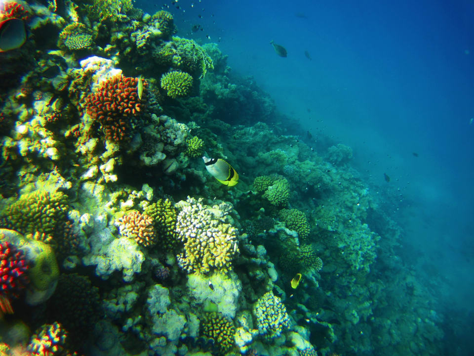 Sport & Freizeit Three Corners Equinox Beach Resort