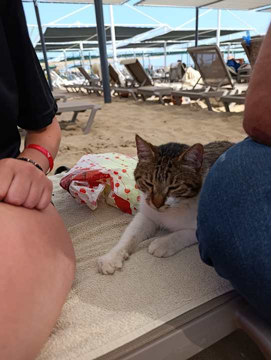 Strand Side Alegria Hotel & Spa - Adults only +16