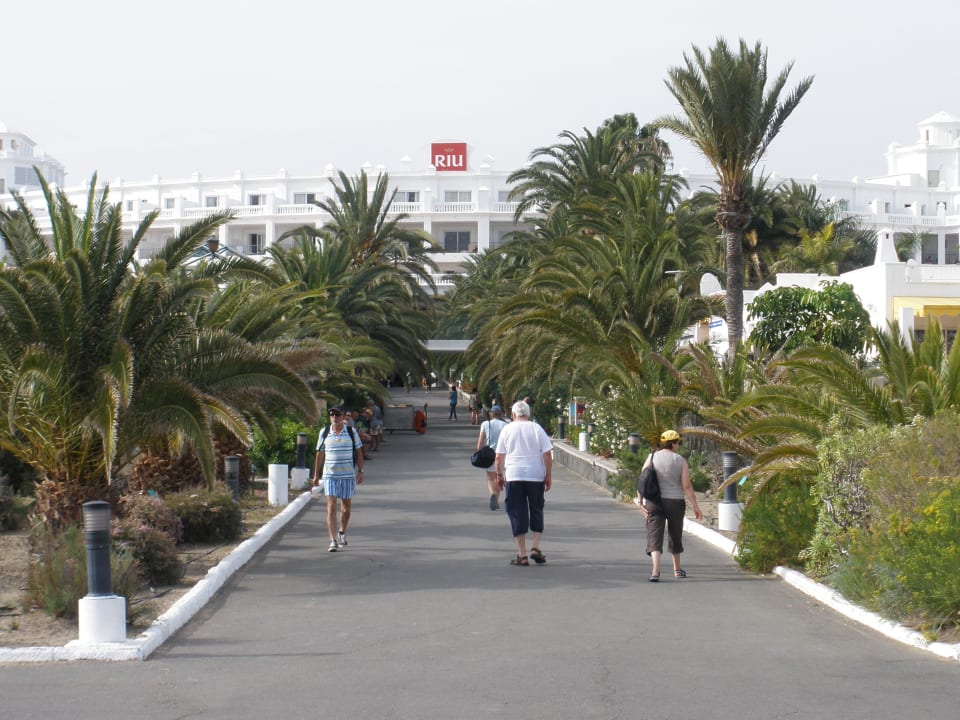 Von den Dünen aus gesehen Hotel Riu Palace Maspalomas Adults Only