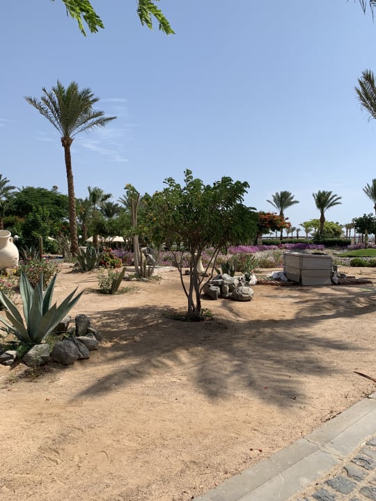 Gartenanlage Steigenberger Aqua Magic