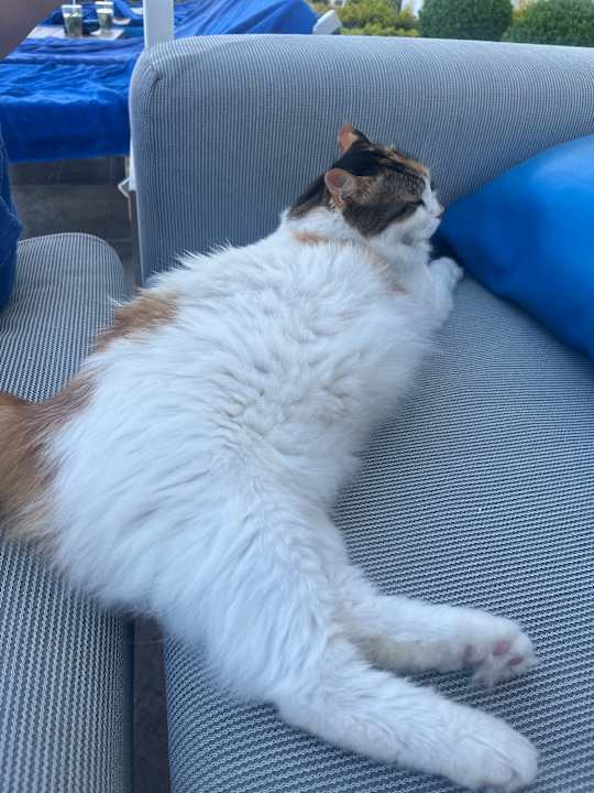 Sonstiges Pickalbatros Dana Beach Resort - Hurghada