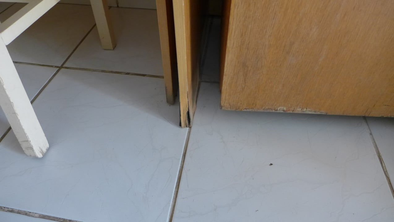 Zimmer Ghazala Gardens