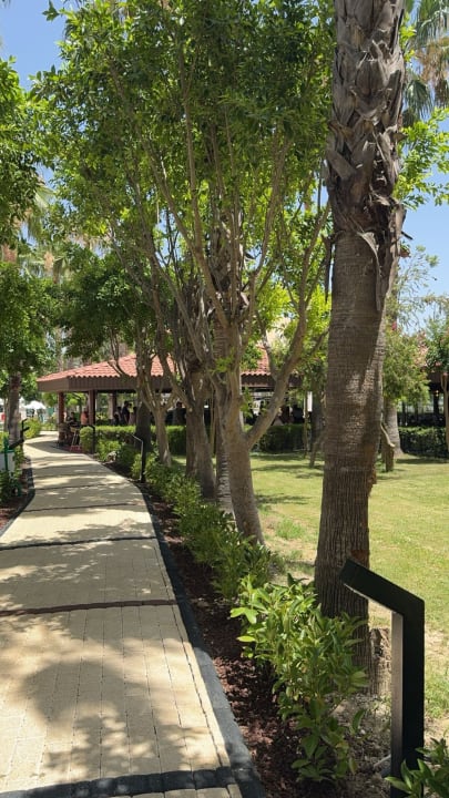 Gartenanlage allsun Numa Club Side